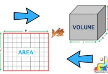 difference between area and volume