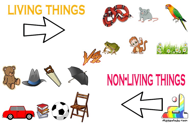 comparison between living and nonliving things