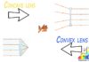 Difference Between Concave and Convex Lenses