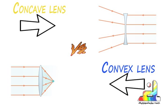 Difference Between Concave and Convex Lenses
