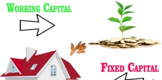 Difference Between Fixed Capital and Working Capital