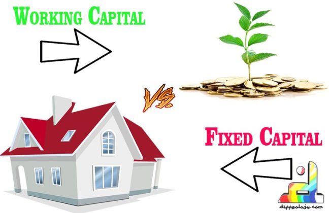 Difference Between Fixed Capital And Working Capital | Diffeology