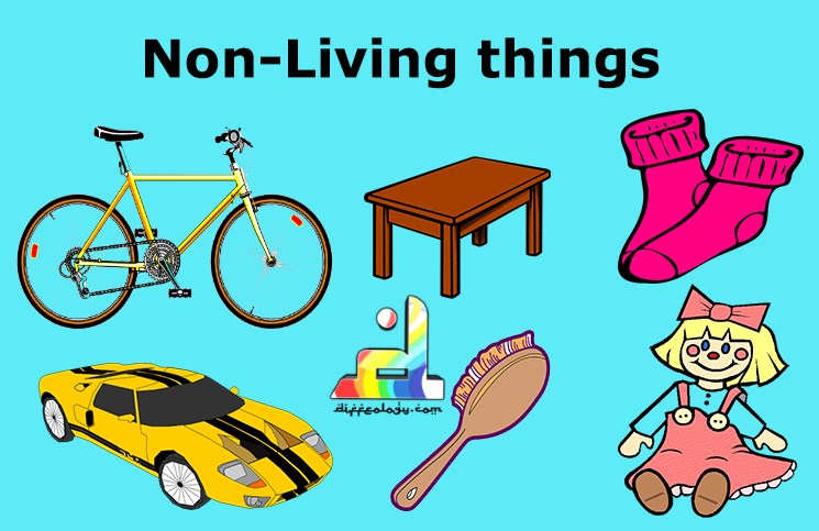 Difference Between Living And Non Living Things Diffeology