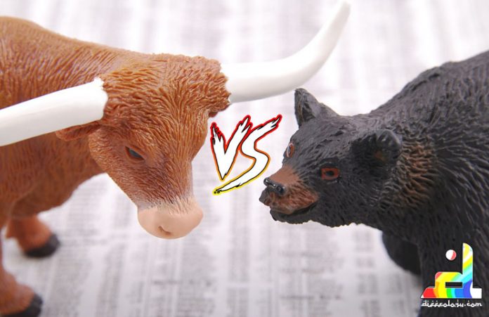 Difference Between Bull and Bear Market