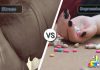 Difference Between Stress and Depression