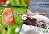 Difference Between Rock Salt and Sea Salt