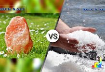 Difference Between Rock Salt and Sea Salt