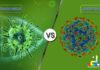 Difference between Coronavirus and Rhinovirus