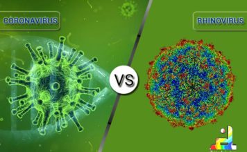 Difference between Coronavirus and Rhinovirus