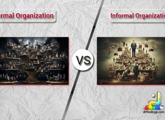 Difference Between Formal and Informal Organization