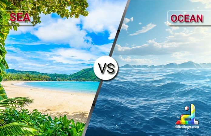 Difference Between Sea and Ocean