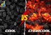 Difference Between Coal and Charcoal