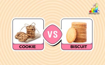 Difference Between Cookie and Biscuit
