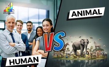 Difference Between Humans and Animals