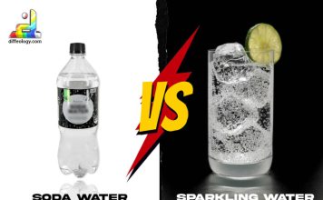 Difference Between Soda Water and Sparkling Water