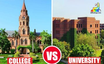 Difference Between College and University