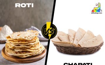 Difference Between Roti and Chapati