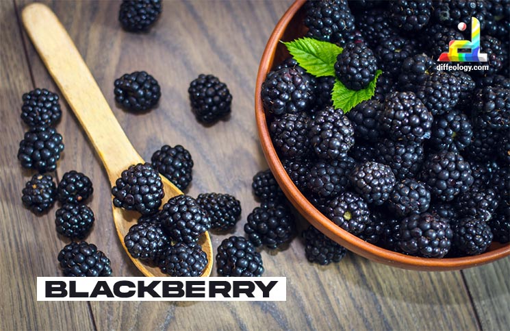 What is Blackberry