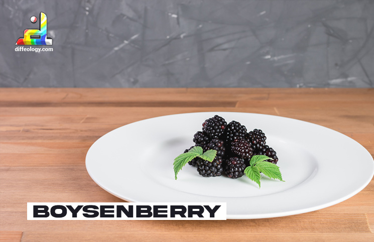 What is Boysenberry