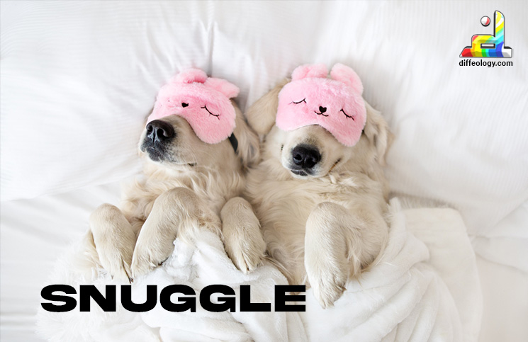What is Snuggle