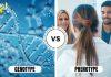 Difference Between Genotype and Phenotype
