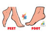Difference Between Feet and Foot