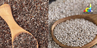 Difference Between Black and White Chia Seeds