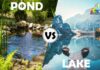 Difference Between Pond and Lake