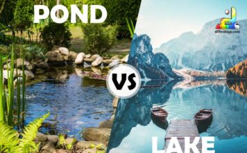 Difference Between Pond and Lake