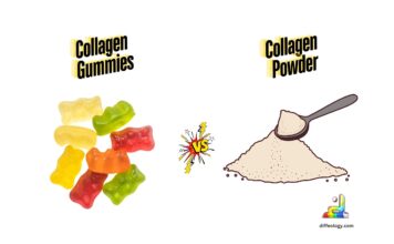 Difference Between Collagen Gummies and Powder