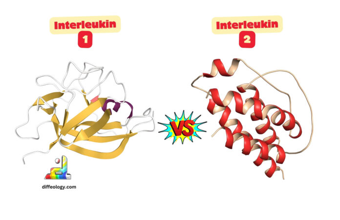 Difference Between Interleukin 1 and 2