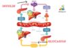 Difference Between Insulin and Glucagon