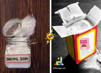 Difference Between Baking Soda and Baking Powder