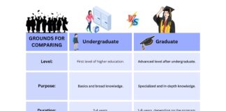 Difference Between Undergraduate and Graduate