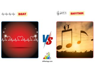 Difference Between Beat and Rhythm