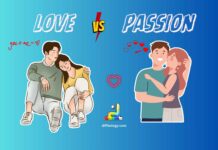 Difference Between Love and Passion