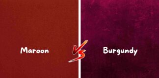 Difference Between Maroon and Burgundy