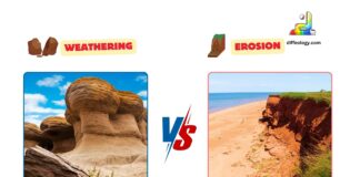 Difference Between Weathering and Erosion