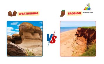 Difference Between Weathering and Erosion