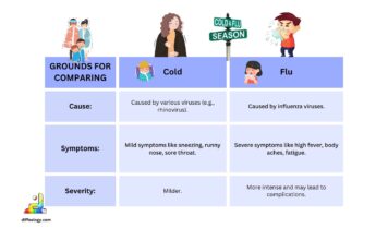 Difference Between a Cold and the Flu