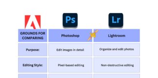 Difference Between Photoshop and Lightroom