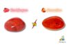 Difference Between Red Jasper and Carnelian