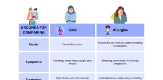 Difference Between Cold and Allergies