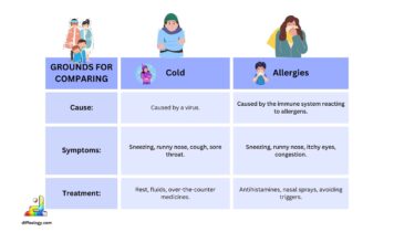 Difference Between Cold and Allergies