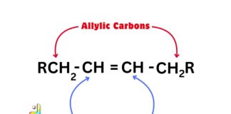 Difference Between Allylic and Vinylic Carbons