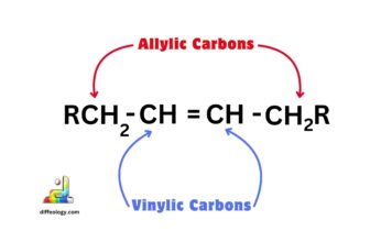 Difference Between Allylic and Vinylic Carbons