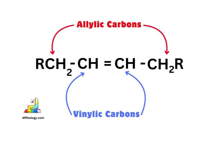 Difference Between Allylic and Vinylic Carbons