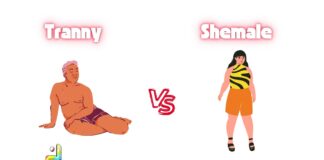 Difference Between Tranny and Shemale