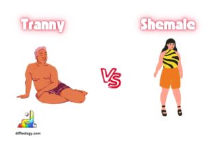 Difference Between Tranny and Shemale