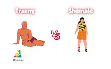 Difference Between Tranny and Shemale